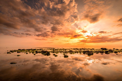 Scenic view of sea during sunset