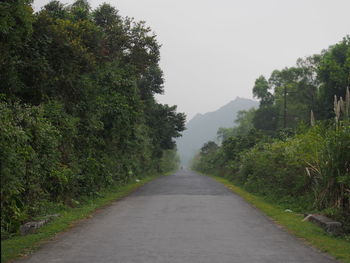 Road amidst trees against sky