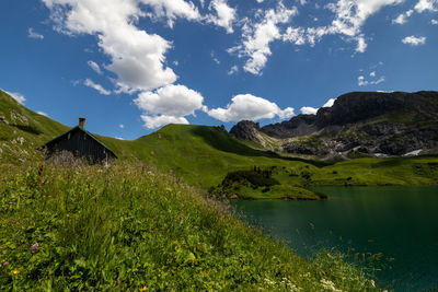 nature