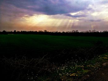 Scenic view of field against sky during sunset