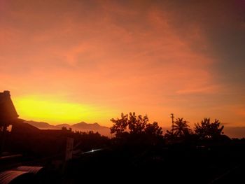 Silhouette trees against orange sky