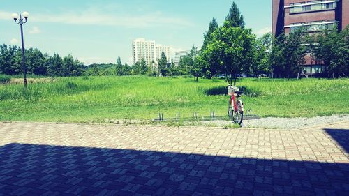 Man riding bicycle on grass in city