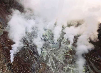 Panoramic view of pine trees in forest during winter