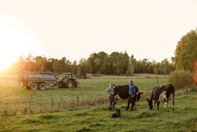 Farmers with dog and cows on field during sunset