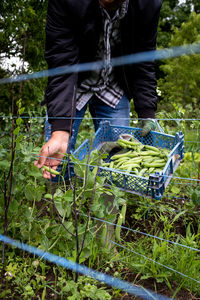 Low section of man standing by plants