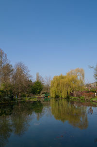 Reflection of trees in lake against clear sky