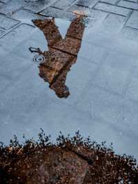 High angle view of puddle on wet street during winter