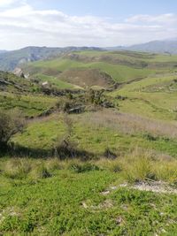 Scenic view of landscape against sky