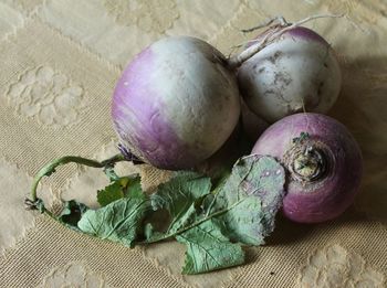 Close-up of turnip