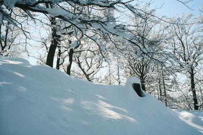 Bare trees on snow covered land against sky