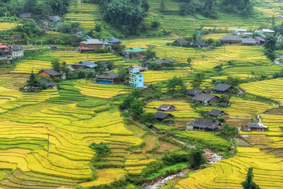 agriculture