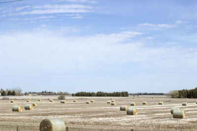 Hay bales on agricultural field against sky