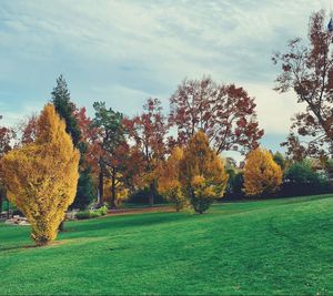 Trees growing on field against sky during autumn