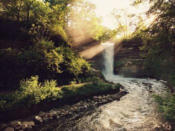 Scenic view of waterfall in forest