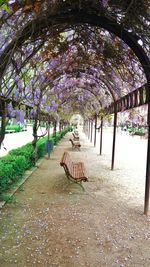 View of empty bench in park