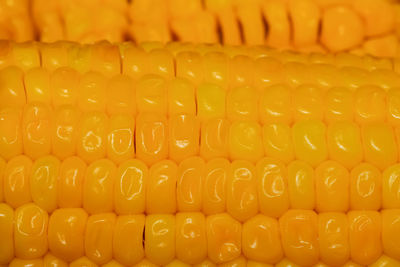 Full frame shot of corn on the cob