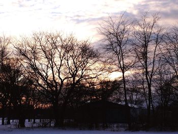 Bare trees on landscape at sunset