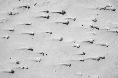 sand