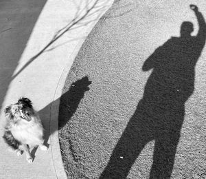 Shadow of people on street