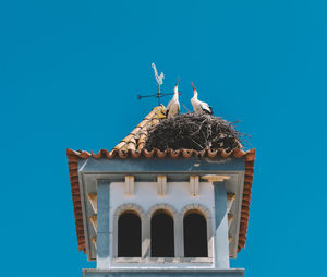 Two white storks nesting on a bell tower in algarve, portugal against blue sky