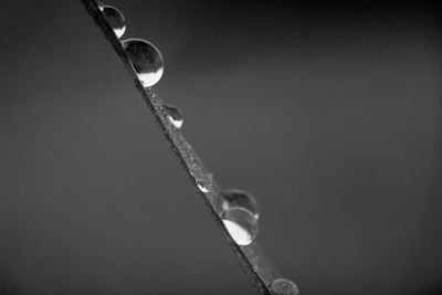 Close-up of water drops on glass