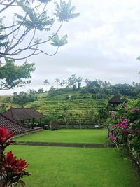 Scenic view of grassy field against cloudy sky