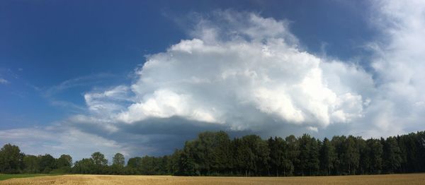 Panoramic shot of trees on field against sky