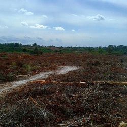 Scenic view of field against cloudy sky