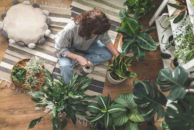 High angle view of woman holding christmas tree