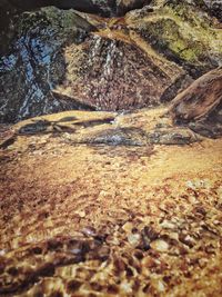 Close-up of rocks in water