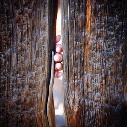 Close-up of cropped hand amidst woods