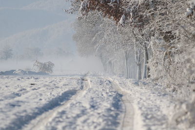 Snow covered land