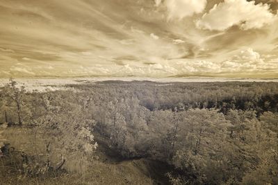 Scenic view of landscape against sky