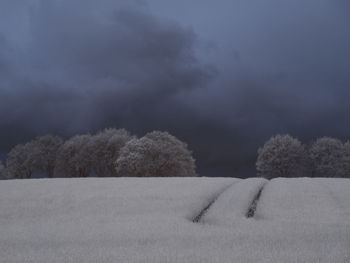 Trees on field against sky during winter