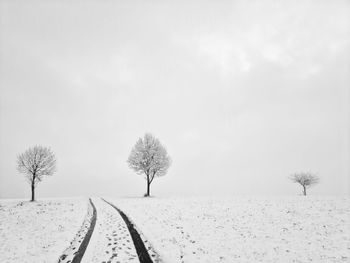 Trees on snow covered field against sky