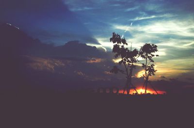 Silhouette of trees at sunset