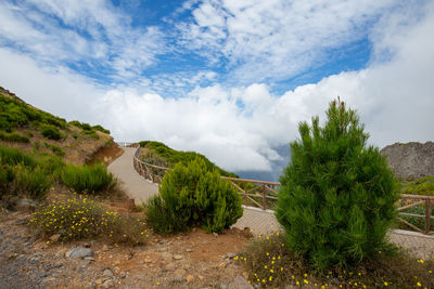 Scenic view of landscape against sky