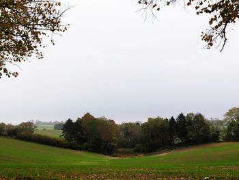 Trees on field against clear sky