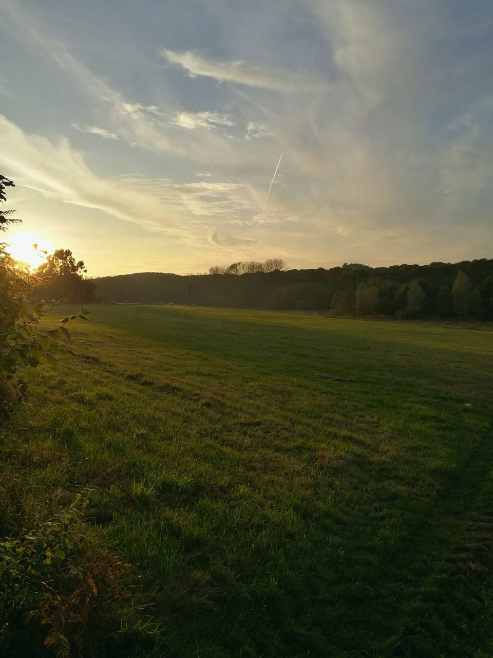 sunset, beauty in nature, nature, sky, green color, grass, scenics, outdoors, no people, tree, golf course, day