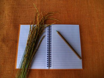 High angle view of open book on table