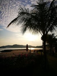Rear view of silhouette people at beach during sunset
