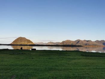 Scenic view of field against clear sky