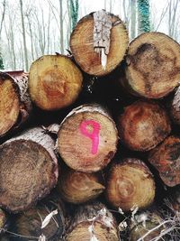 Stack of firewood