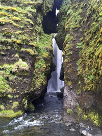 Water flowing through rocks in forest