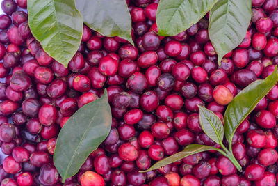 Full frame shot of strawberries