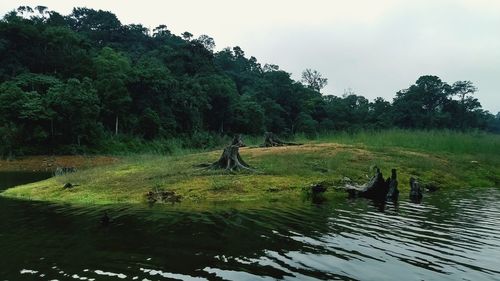 Scenic view of lake by trees against sky