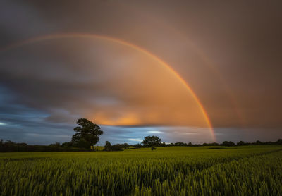 Scenic view of field against rainbow in sky