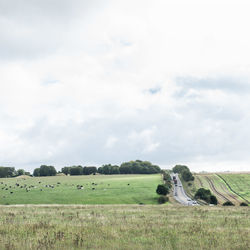 Scenic view of field against sky