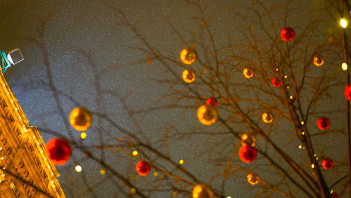 Close-up of water drops on leaves
