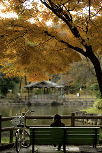Rear view of woman sitting on bench during autumn